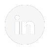 LinkedIn Icon